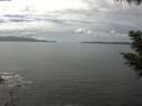 ./images/koeye/fitz-hugh/20200902/fitz-hugh20200902_135502.jpg