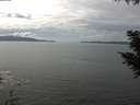 ./images/koeye/fitz-hugh/20200902/fitz-hugh20200902_140002.jpg
