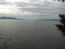 ./images/koeye/fitz-hugh/20200902/fitz-hugh20200902_141002.jpg