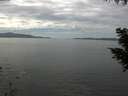 ./images/koeye/fitz-hugh/20200902/fitz-hugh20200902_141501.jpg
