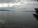 ./images/koeye/fitz-hugh/20200902/fitz-hugh20200902_142501.jpg
