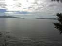 ./images/koeye/fitz-hugh/20200902/fitz-hugh20200902_143501.jpg
