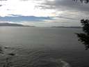 ./images/koeye/fitz-hugh/20200902/fitz-hugh20200902_151501.jpg