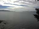 ./images/koeye/fitz-hugh/20200902/fitz-hugh20200902_152501.jpg