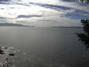 ./images/koeye/fitz-hugh/20200902/fitz-hugh20200902_153501.jpg