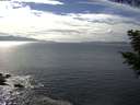 ./images/koeye/fitz-hugh/20200902/fitz-hugh20200902_154501.jpg