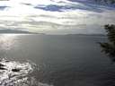 ./images/koeye/fitz-hugh/20200902/fitz-hugh20200902_155001.jpg