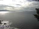 ./images/koeye/fitz-hugh/20200902/fitz-hugh20200902_155501.jpg