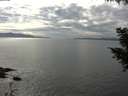 ./images/koeye/fitz-hugh/20200902/fitz-hugh20200902_160502.jpg