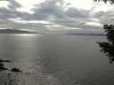 ./images/koeye/fitz-hugh/20200902/fitz-hugh20200902_161502.jpg