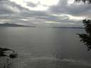 ./images/koeye/fitz-hugh/20200902/fitz-hugh20200902_162002.jpg