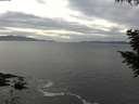 ./images/koeye/fitz-hugh/20200902/fitz-hugh20200902_162502.jpg