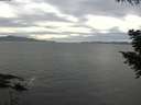 ./images/koeye/fitz-hugh/20200902/fitz-hugh20200902_163502.jpg