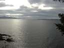 ./images/koeye/fitz-hugh/20200902/fitz-hugh20200902_164502.jpg