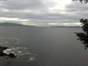 ./images/koeye/fitz-hugh/20200902/fitz-hugh20200902_165502.jpg