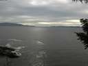 ./images/koeye/fitz-hugh/20200902/fitz-hugh20200902_170502.jpg