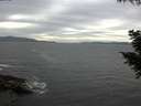 ./images/koeye/fitz-hugh/20200902/fitz-hugh20200902_171501.jpg