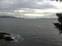 ./images/koeye/fitz-hugh/20200902/fitz-hugh20200902_173501.jpg