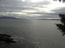 ./images/koeye/fitz-hugh/20200902/fitz-hugh20200902_174001.jpg
