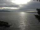 ./images/koeye/fitz-hugh/20200902/fitz-hugh20200902_174501.jpg