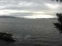 ./images/koeye/fitz-hugh/20200902/fitz-hugh20200902_175501.jpg