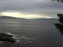 ./images/koeye/fitz-hugh/20200902/fitz-hugh20200902_181501.jpg