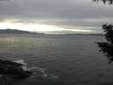 ./images/koeye/fitz-hugh/20200902/fitz-hugh20200902_182001.jpg