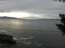 ./images/koeye/fitz-hugh/20200902/fitz-hugh20200902_182501.jpg