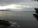 ./images/koeye/fitz-hugh/20200902/fitz-hugh20200902_183501.jpg