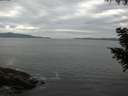 ./images/koeye/fitz-hugh/20200902/fitz-hugh20200902_184501.jpg