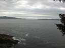 ./images/koeye/fitz-hugh/20200902/fitz-hugh20200902_185501.jpg