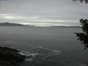 ./images/koeye/fitz-hugh/20200902/fitz-hugh20200902_190501.jpg
