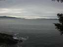 ./images/koeye/fitz-hugh/20200902/fitz-hugh20200902_191002.jpg