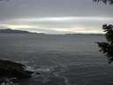 ./images/koeye/fitz-hugh/20200902/fitz-hugh20200902_194002.jpg