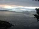 ./images/koeye/fitz-hugh/20200902/fitz-hugh20200902_200502.jpg