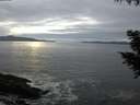 ./images/koeye/fitz-hugh/20200902/fitz-hugh20200902_202001.jpg