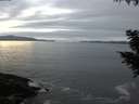 ./images/koeye/fitz-hugh/20200902/fitz-hugh20200902_202501.jpg