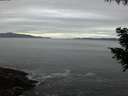 ./images/koeye/fitz-hugh/20200902/fitz-hugh20200902_204001.jpg