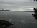 ./images/koeye/fitz-hugh/20200902/fitz-hugh20200902_204501.jpg