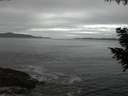 ./images/koeye/fitz-hugh/20200902/fitz-hugh20200902_205001.jpg