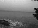./images/koeye/fitz-hugh/20200903/fitz-hugh20200903_061001.jpg