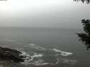 ./images/koeye/fitz-hugh/20200903/fitz-hugh20200903_062001.jpg