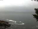 ./images/koeye/fitz-hugh/20200903/fitz-hugh20200903_062501.jpg