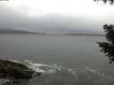 ./images/koeye/fitz-hugh/20200903/fitz-hugh20200903_063501.jpg