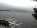 ./images/koeye/fitz-hugh/20200903/fitz-hugh20200903_064001.jpg
