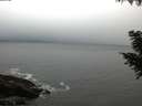 ./images/koeye/fitz-hugh/20200903/fitz-hugh20200903_064501.jpg