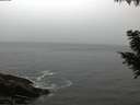 ./images/koeye/fitz-hugh/20200903/fitz-hugh20200903_065001.jpg