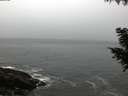 ./images/koeye/fitz-hugh/20200903/fitz-hugh20200903_065501.jpg