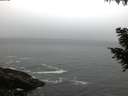 ./images/koeye/fitz-hugh/20200903/fitz-hugh20200903_070501.jpg