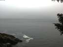 ./images/koeye/fitz-hugh/20200903/fitz-hugh20200903_071002.jpg